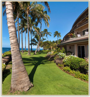 Whalers Cove - Oceanfront Luxury